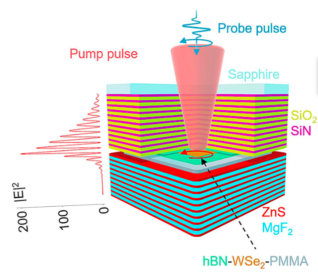 Circularly Polarized Light Switching